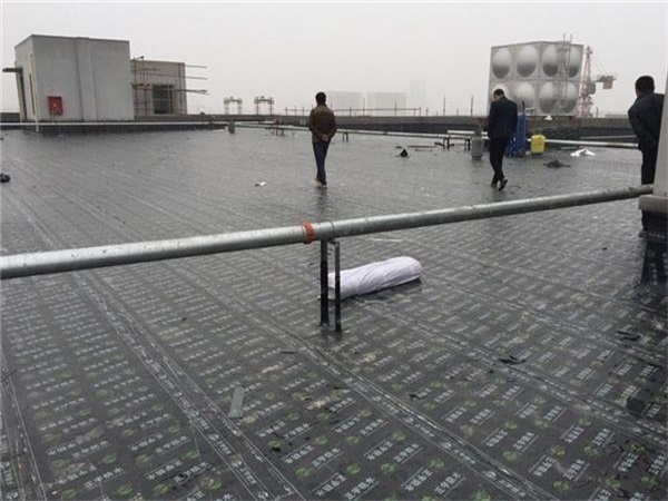 SBS防水卷材(圖1)