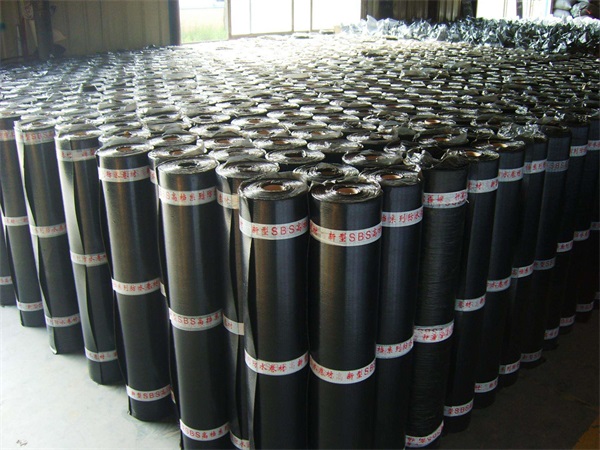 廠(chǎng)區風(fēng)景(圖1)